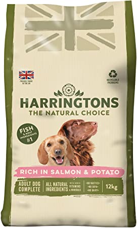 harringtons salmon