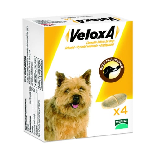 Rspca worming sales tablets
