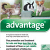 Advantage 40mg 1 pipette