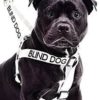 Dexil Blind Harness Large / X Large