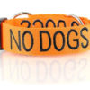 Dexil No Dogs Collar Small/ Medium