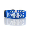 Dexil Training Collar Small/ Medium