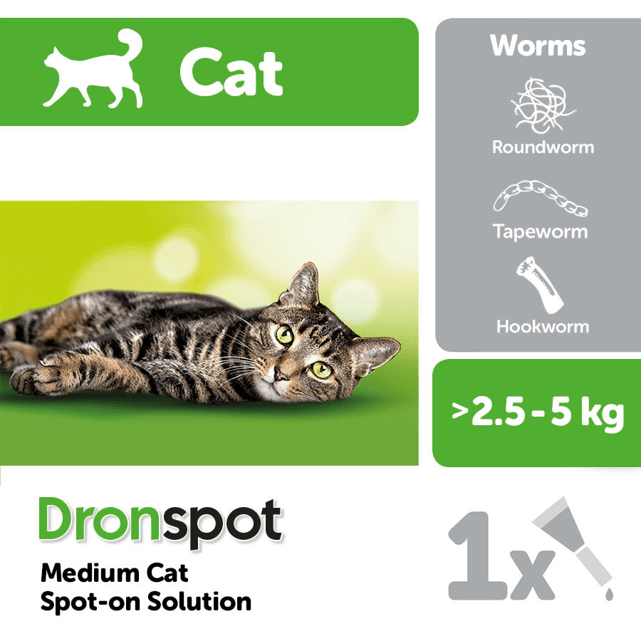 Dronspot wormer for clearance cats