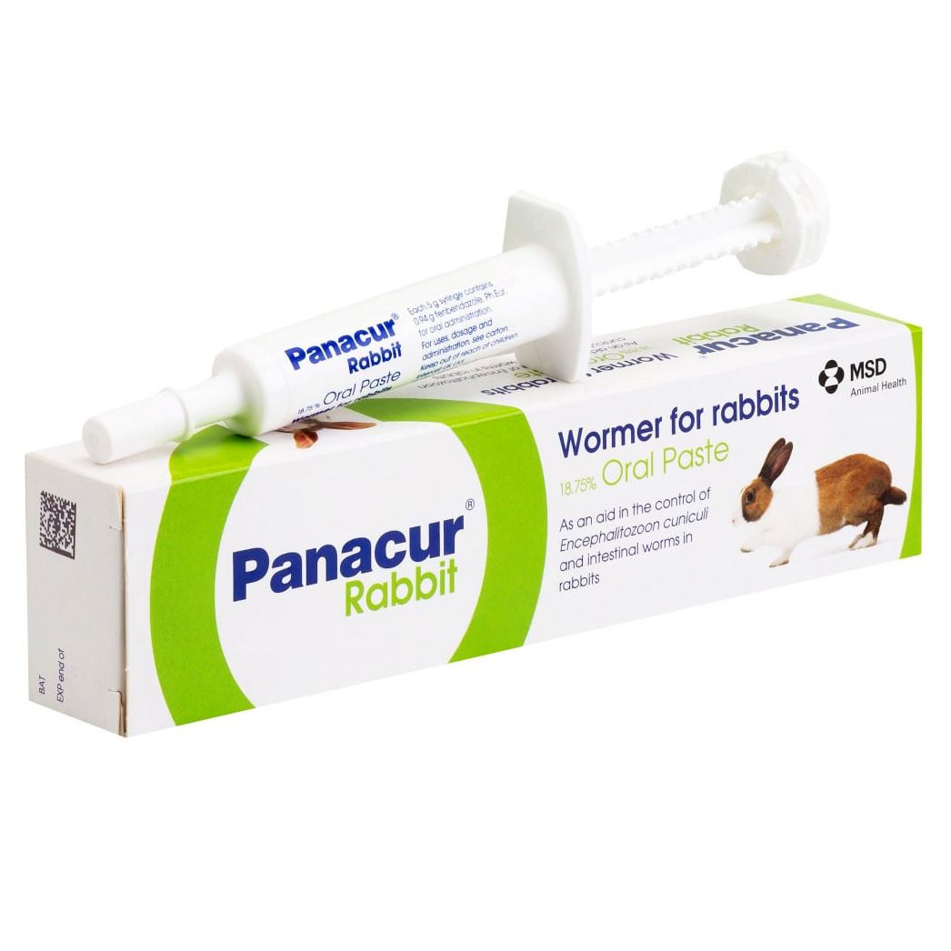 Panacur pet paste kitten sale