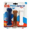 Nylabone puppy starter kit