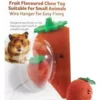 Gnaw t strawberry 5cm