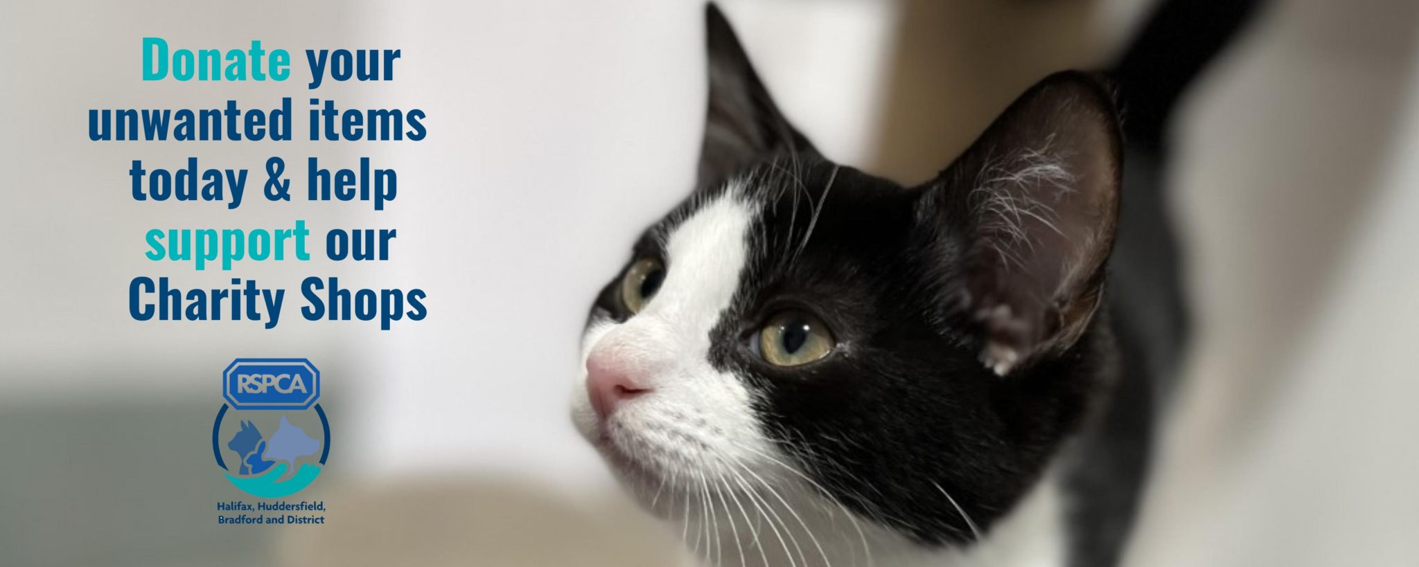 Support Our Charity Shops RSPCA Halifax, Huddersfield, Bradford