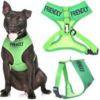 Dexil Friendly Harness Small