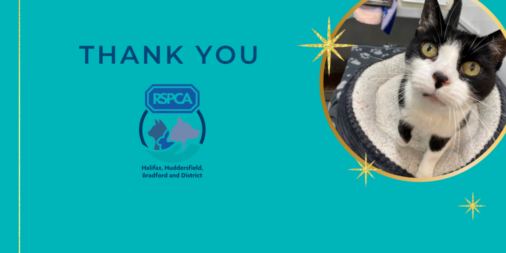 Thank you for donating to our Christmas Wish Appeal 2022! - RSPCA Halifax, Huddersfield 