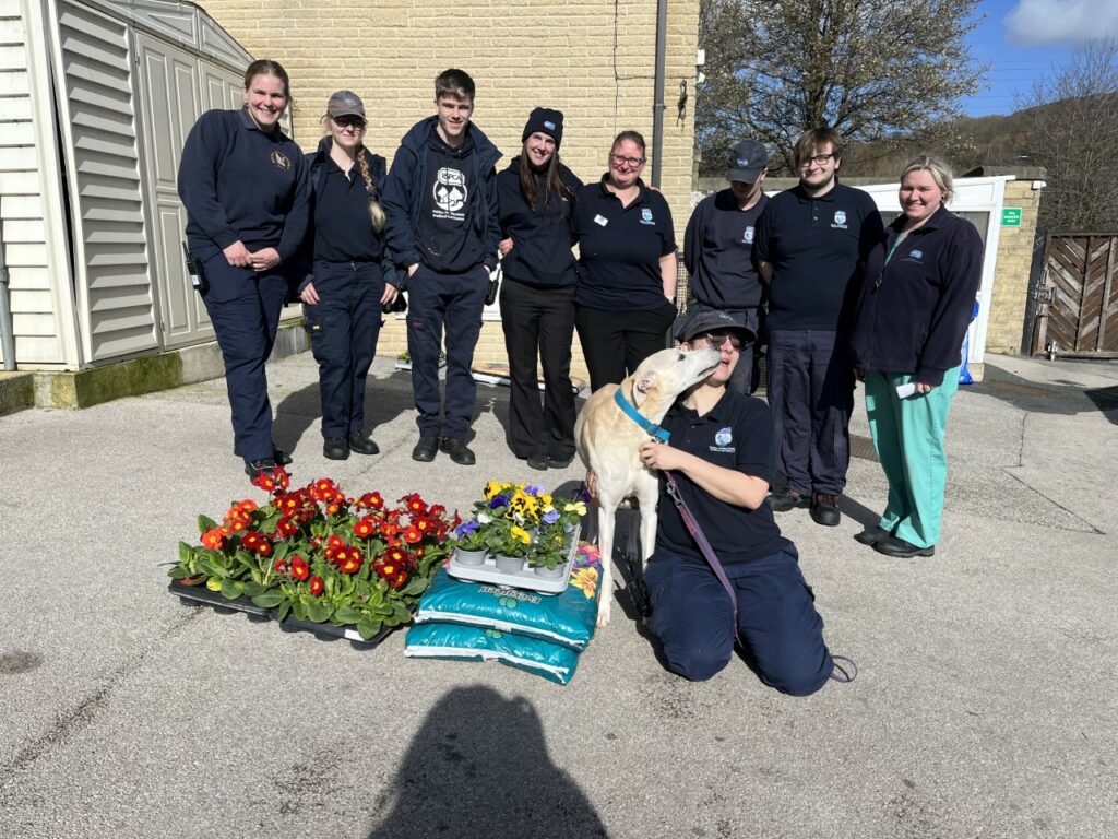 New Vacancy! Animal Care Assistant RSPCA Halifax, Huddersfield