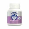 Dorwest Kelp Seaweed tablets pack 100