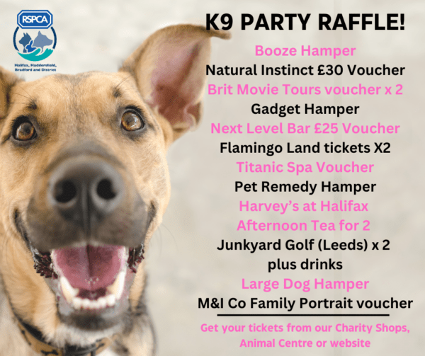 Enter our K9 Party 2023 Raffle right here! - RSPCA Halifax ...