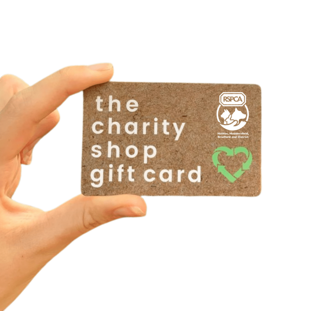 The perfect thrifty gift for animal lovers... The Charity Shop Gift
