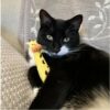 Rosewood Eco Friendly Giraffe Grab Cat Toy 13cm
