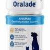 Oralade GI Support for cats and dogs 500mls