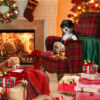Christmas Cosy Pup By The Fire Cards 10 Pk
