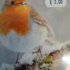 Christmas A Snowy Robin Cards 10PK