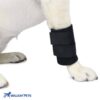 Walkin Wrist hugger for small dogs
