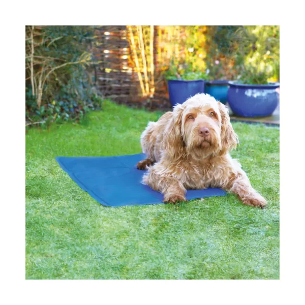 Rosewood Pet Cool Mat Large 70 X 90cm