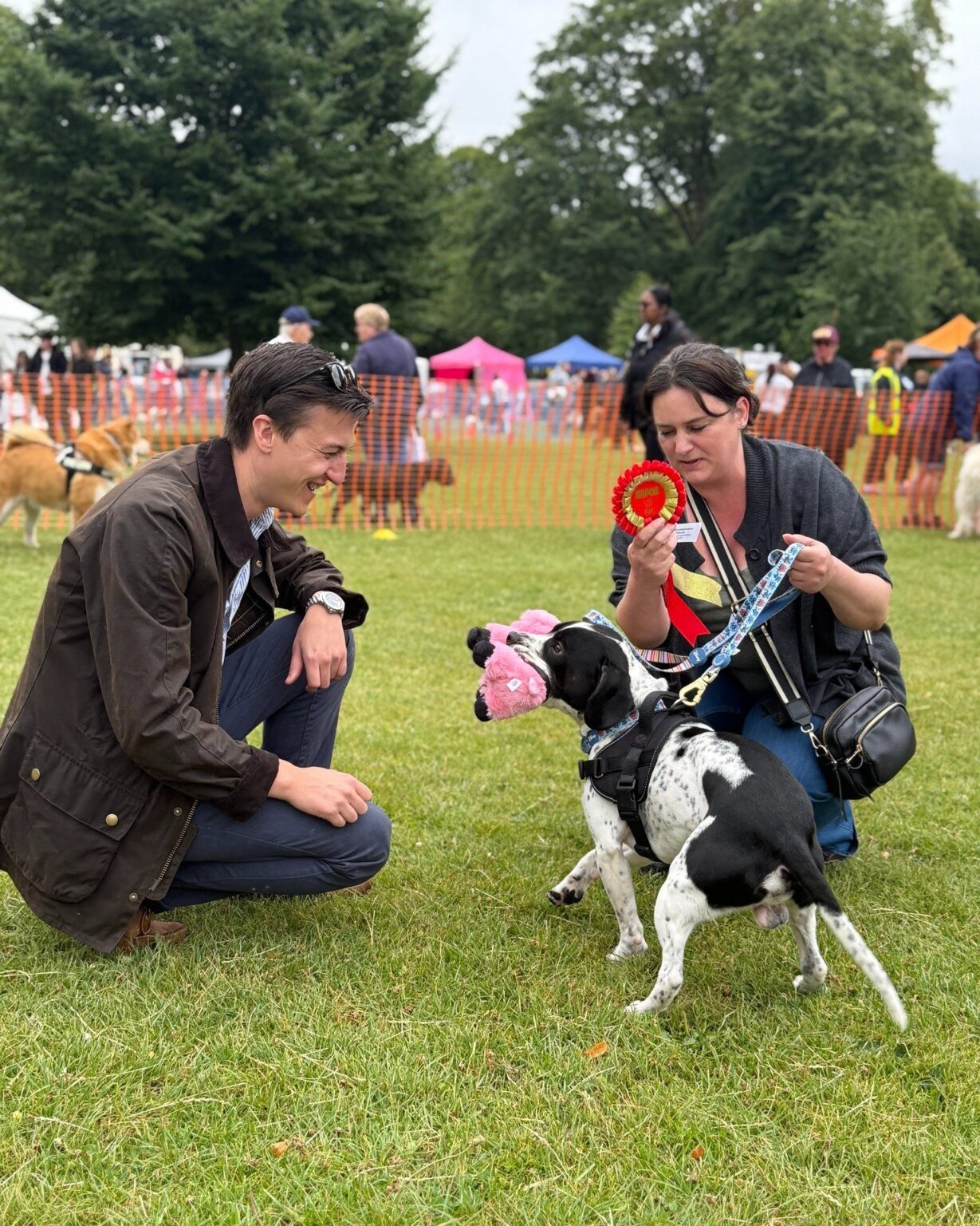 K9 Party in the Park's 25th Anniversary - WHAT A DAY! - RSPCA Halifax ...