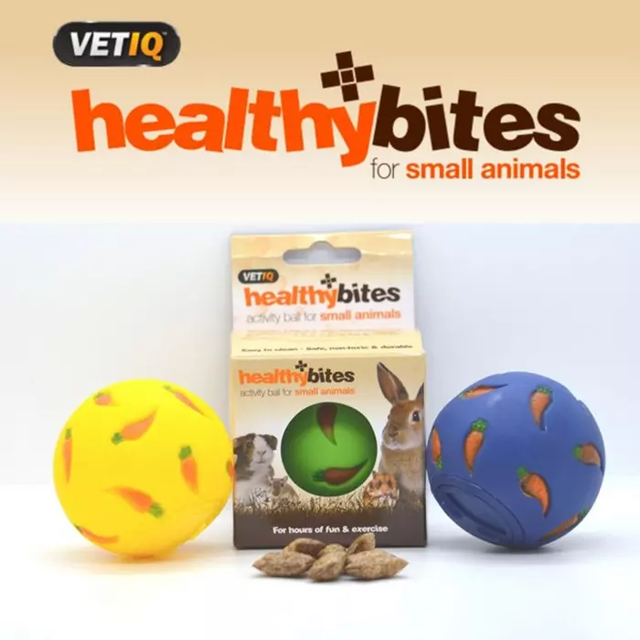 Vet IQ Healthy Bites Activity Ball