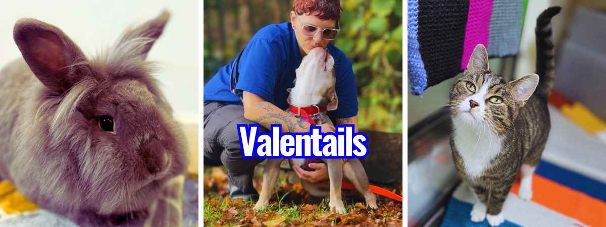 Copy of banners (13)