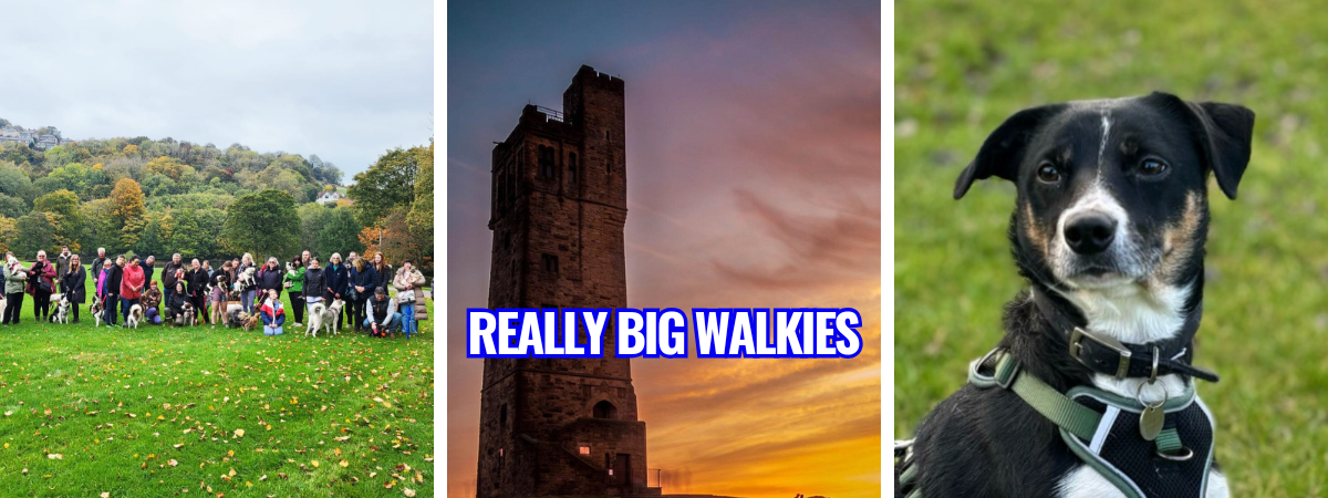 Copy of banners (17)