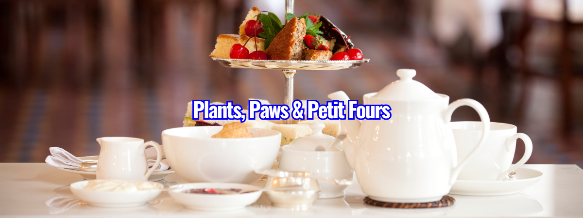 Copy of banners (27)