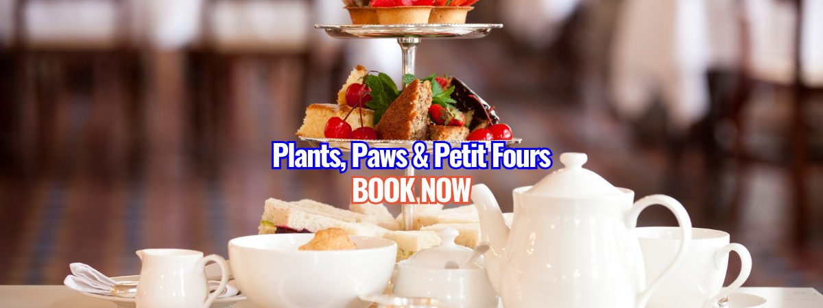 Copy of banners (28)