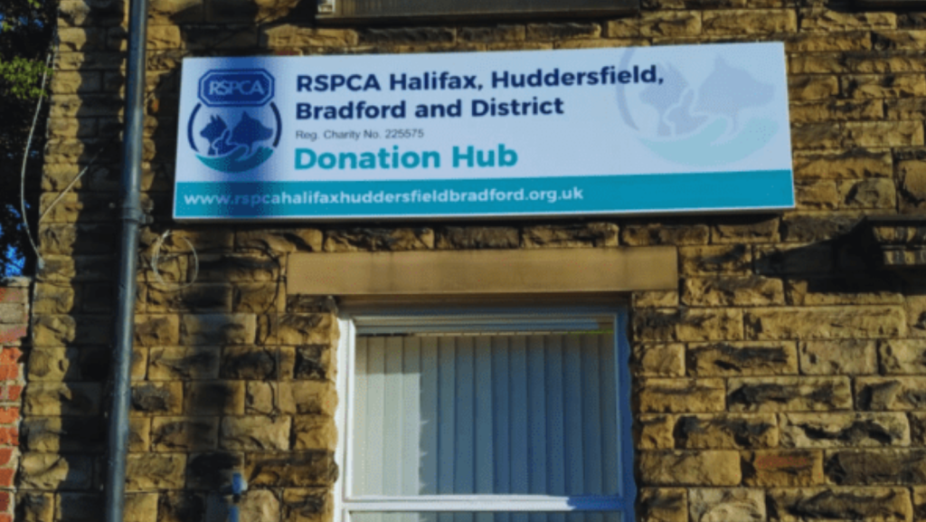 Untitled design - 2026-04-17T113834.511